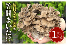 飯村きのこ園の笠間まいたけ（1kg以上）