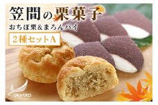 人気の「笠間の栗菓子」２種セットＡ(おちぼ栗＆まろんパイ)