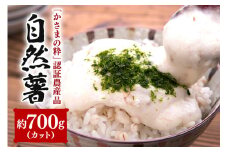 伊藤農園の自然薯カット　約700g
