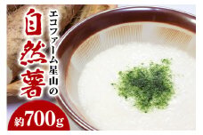 エコファーム星山の自然薯　700ｇ