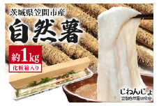 笠間自然薯研究会の自然薯カット 約1kg 自然薯 長芋 山芋 とろろ とろろご飯 野菜 ねばねば 健康食品 美容効果 笠間市産 茨城県産 栄養たっぷり ギフトに最適 新鮮 国内生産 高級根菜 美容 健康 美味しい 産地直送  滋養強壮