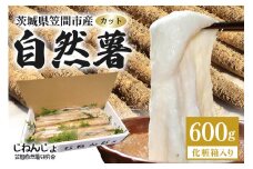 笠間自然薯研究会の自然薯カット 約600g 自然薯 長芋 山芋 とろろ とろろご飯 野菜 ねばねば 健康食品 美容効果 笠間市産 茨城県産 栄養たっぷり ギフトに最適 新鮮 国内生産 高級根菜 美容 健康 美味しい 産地直送  滋養強壮