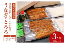 【TVで紹介されました】 贈答用 うなとろ 3人前セット 桐箱入り 土用の丑の日 ウナギ うなとろ おすすめ 蒲焼き 蒲焼 国産 解凍 冷凍 土用 丑の日 お歳暮 お中元 笠間市 茨城県 とろろ 老舗 贈答 贈り物 真空パック