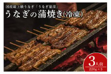 【TVで紹介されました】 うなぎ 3人前セット 土用の丑の日 ウナギ うなとろ おすすめ 蒲焼き 蒲焼 国産 解凍 冷凍 加工品 土用 丑の日 お歳暮 お中元 お祝い 笠間市 茨城県 とろろ 老舗 贈答 贈り物 真空パック