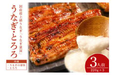 うなとろ 3人前セット 土用の丑の日 ウナギ うなとろ おすすめ 蒲焼き 蒲焼 国産 解凍 冷凍 加工品 土用 丑の日 お歳暮 お中元 お祝い 笠間市 茨城県 とろろ 老舗 贈答 贈り物 真空パック