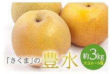 さくま梨園 豊水梨 梨 果物 フルーツ 秋 3kg ギフト 贈答用 笠間市 茨城県