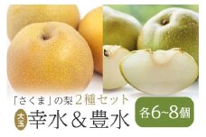 さくま梨園 旬 梨 2種 セット 幸水梨 豊水梨 ギフト 贈答用 果物 フルーツ 笠間市 茨城県