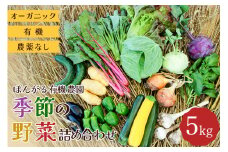 オーガニック 有機 農薬なし ぽんがる有機農園 季節の野菜 詰め合わせ 5kg