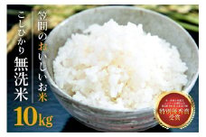 令和6年度米 コシヒカリ　無洗米　１０ｋｇ 新米