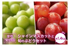 【数量限定】栗原果樹園のシャインマスカットと旬のぶどうセット