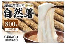 笠間自然薯研究会の自然薯カット ご家庭用 約800g 笠間自然薯研究会 自然薯 長芋 山芋 とろろ とろろご飯 野菜 ねばねば 健康食品 美容効果 笠間市産 茨城県産 栄養たっぷり ギフトに最適 新鮮 国内生産 高級根菜 美容 健康 美味しい 産地直送  滋養強壮