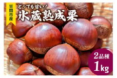 とっても甘い！氷蔵熟成栗 2品種 1kg ふかさわ農園 笠間の栗ブランド認証栗 栗 熟成 氷蔵 とっても甘い 1kg 10月10日以降発送予定 笠間市 茨城県