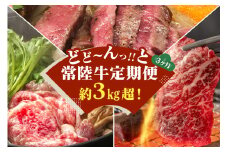 3ヵ月定期便 常陸牛どどーんっ！と定期便 総重量約３kg超え【茨城県共通返礼品】