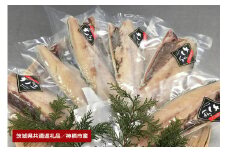 大トロさば文化干し　6枚（茨城県共通返礼品・神栖市産）