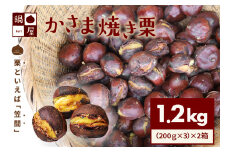 焼き栗 栗 1.2kg (2箱) 和栗 国産 200gずつ 個包装 鍋屋本店 茨城県 笠間 かさま やき栗 くり 和栗 国産栗 甘栗 おやつ 間食 無添加 ギフト プレゼント 1kg以上 父の日 母の日 やきぐり 焼栗 いばらき 