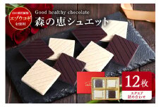 グッドヘルシーチョコ「森の恵」詰合せ12枚入り　≪スクエア≫