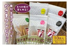 かさまケンピセット　5種×各2袋