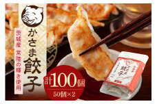 彩美亭 かさま餃子 常陸の輝き100個