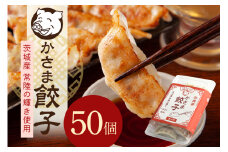 彩美亭 かさま餃子 常陸の輝き50個入り