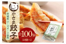 彩美亭 かさま餃子 ローズポーク100個