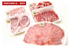 まごころ豚　お楽しみセット（茨城県共通返礼品・鉾田市産）