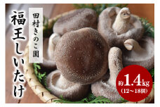 【先行販売/2025年10月中旬～発送】 福王しいたけ 特大サイズ 約1.4kg しいたけ 椎茸