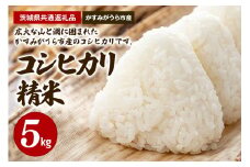 コシヒカリ 精米5kg（茨城県共通返礼品・かすみがうら市産）