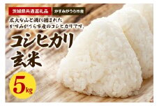 コシヒカリ 玄米5kg（茨城県共通返礼品・かすみがうら市産）