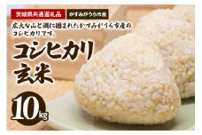 コシヒカリ 玄米10kg（茨城県共通返礼品・かすみがうら市産）