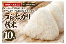 コシヒカリ 精米10kg（茨城県共通返礼品・かすみがうら市産）
