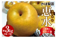 さくま梨園 恵水梨 梨 旬 果物 フルーツ ギフト 贈答用 茨城県 笠間市