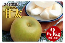 さくま梨園 甘太梨 梨 旬 フルーツ 果物 3kg ギフト 贈答用 ご自宅用 茨城県 笠間市