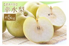 訳あり 柴沼梨園の梨 （ 幸水 ） 梨 5kg 訳あり品 10～18個入り 訳アリ 不揃い ナシ なし 国産 茨城 秋 旬 フルーツ 果物 先行予約 【8月中旬～8月下旬発送】 旬の果物 くだもの サイズ 品種 幸水梨 産地 茨城県 家庭用