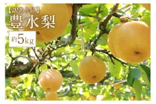 訳あり 柴沼梨園の梨 （ 豊水 ） 梨 5kg 10～16個入り 訳アリ 不揃い 訳あり品 ナシ なし 国産 茨城 豊水梨 秋 旬 フルーツ 果物 数量限定 先行予約 【 9月上旬～9月下旬発送 】 秋の味覚 旬の果物 くだもの 訳アリ品 産地 茨城県 家庭用 産地直送
