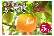 柴沼梨園の梨（あきづき）5kg 大玉 10～16個入り ナシ なし 国産 茨城 秋 旬 フルーツ 果物 先行予約【9月上旬～9月中旬発送】秋の味覚 旬の果物 くだもの 大きい サイズ 品種 あきづき 産地 茨城県産 家庭用 梨園直送 茨城県 笠間市