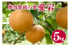 柴沼梨園の梨（愛宕）梨 5kg 大玉 5～10個入り ナシ なし 国産 茨城 秋 旬 フルーツ 果物 先行予約【11月上旬～11月下旬発送】秋の味覚 旬の果物 くだもの 大きい サイズ 品種 愛宕 産地 茨城県産 家庭用 梨園直送 茨城県 笠間市