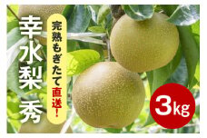 【先行販売/8月中旬から発送】 幸水 梨 秀 3kg 6～10個入 (アカツファーム)  ナシ なし 幸水梨 ギフト 贈答用 秀品 産地 茨城  笠間  完熟 甘い 秋 旬 果物 フルーツ 果汁 新鮮 デザート くだもの ジューシー 秋の味覚 旬の果物 産地直送 茨城県 笠間市