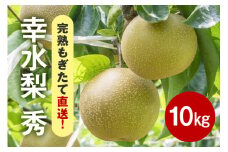  【先行販売/8月中旬から発送】幸水 梨 秀 10kg 20～32個入 (アカツファーム)  ナシ なし 幸水梨 大容量 ギフト 贈答用 秀品 産地 茨城  笠間  完熟 甘い 秋 旬 果物 フルーツ 果汁 新鮮 デザート くだもの ジューシー 秋の味覚 旬の果物 産地直送 茨城県 笠間市