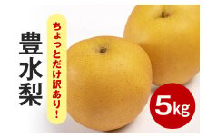 【先行販売/9月上旬から発送】 豊水 梨 ちょっとだけ訳あり 5kg箱 8～14個入 (アカツファーム) ナシ なし 幸水梨 箱 訳あり 訳アリ 産地 茨城 笠間 完熟 甘い 秋 旬 果物 フルーツ 果汁 新鮮 デザート くだもの ジューシー 秋の味覚 旬の果物 産地直送 茨城県 笠間市