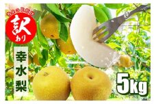 梨 幸水 5kg (10～16個入) 【先行販売/8月中旬から発送】訳あり ちょっとだけ なし ナシ フルーツ お取り寄せ 直送 幸水梨 箱 訳アリ 甘い 産地 茨城  笠間 果汁 新鮮 デザート おやつ くだもの 産地直送 茨城県 笠間市 いばらき
