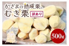 むき栗 訳あり 500g 栗 剥き栗 国産 笠間 茨城県 鍋屋本店 大きさ 不揃い 訳アリ 栗 国産栗 熟成栗 秋 旬 おやつ スイーツ ごはん 間食 無添加 冷凍 いばらき