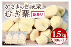 【ワケあり】 かさま 熟成栗 訳あり むき栗 500gx3 不揃い 訳アリ 手作業 皮むき 栗 生栗 むき栗 冷凍 くり クリ 国産 国産栗 和栗 甘栗 栗ご飯 栗きんとん 栗おこわ 甘露煮 秋 旬 おやつ スイーツ マロン 時短 皮むき 保存料不使用 無添加 冷凍 保存 笠間市 茨城県