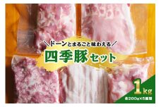 四季豚　ドーンとまるごと味わえる１kgセット