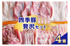 四季豚　贅沢セット 厚切りロース4枚(とんかつ用)、薄切りロース200g×2、バラスライス200g×2、カタロース200g×2