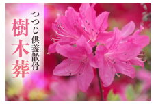 自然供養のカンシャ 樹木葬　つつじ供養散骨