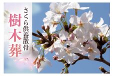 自然供養のカンシャ 樹木葬　さくら供養散骨
