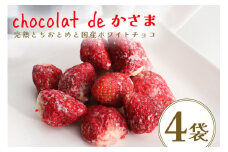 Chocolat de かさま おかしな果実ショコラ 完熟とちおとめの詰め合わせ