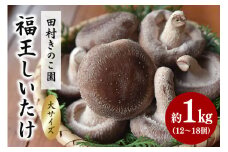 【先行販売/2025年10月中旬～発送】福王しいたけ 大サイズ 約1kg しいたけ 椎茸