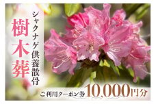 自然供養のカンシャ 樹木葬　シャクナゲ供養散骨　ご利用クーポン券 10000円分