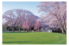 桜の宮ゴルフ倶楽部  ゴルフプレ－補助券 15000円分